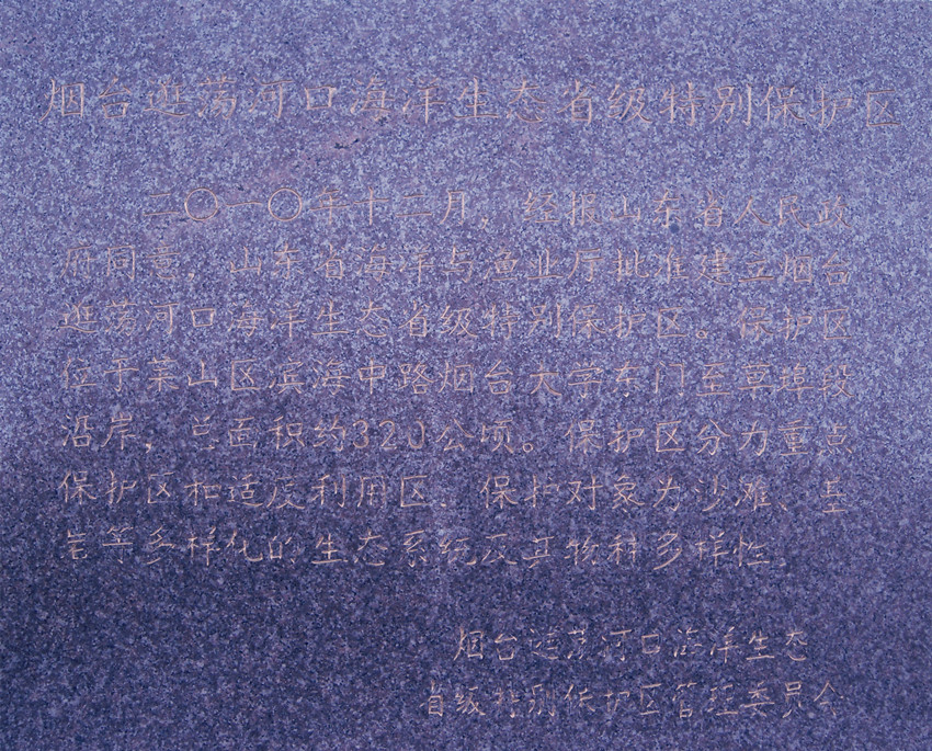 保护 1.jpg