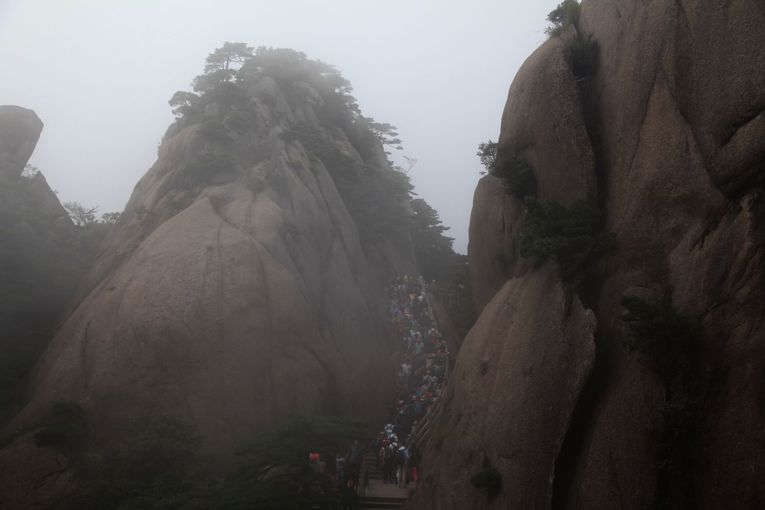 黄山 016.jpg