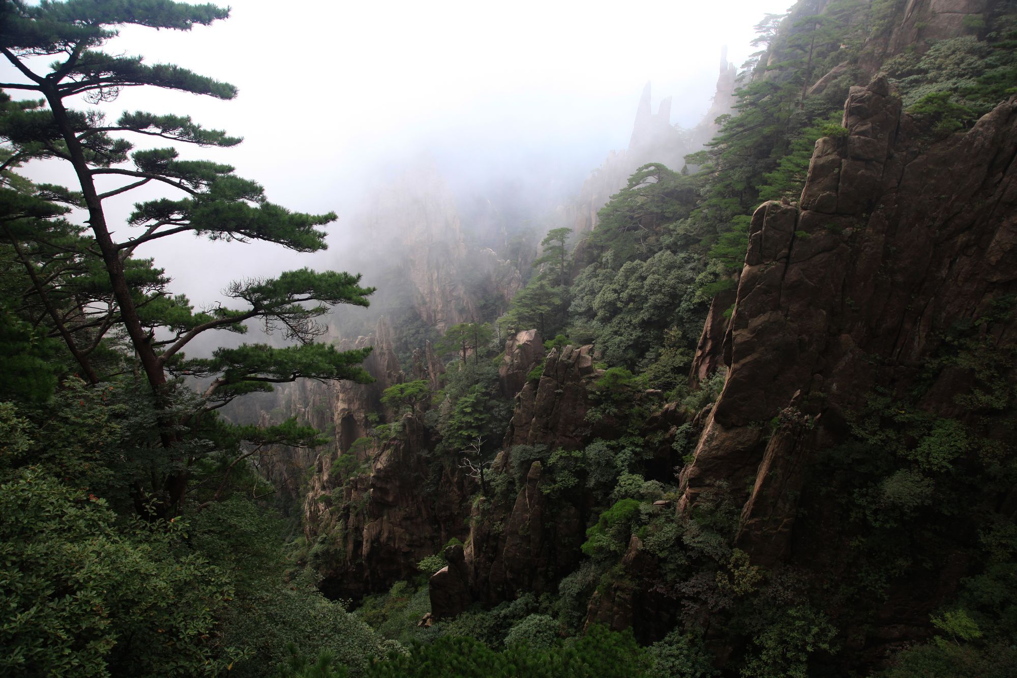 黄山 297.jpg