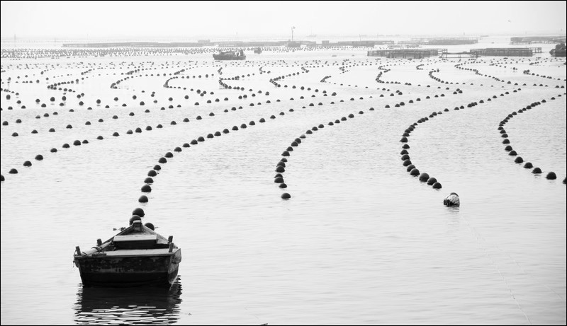 海韵-02.jpg