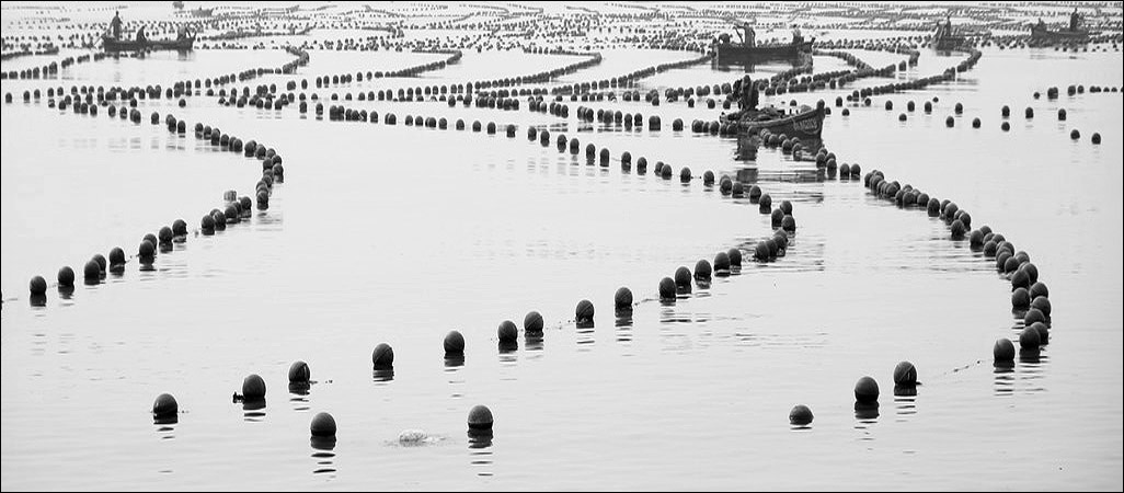 海韵-01.jpg