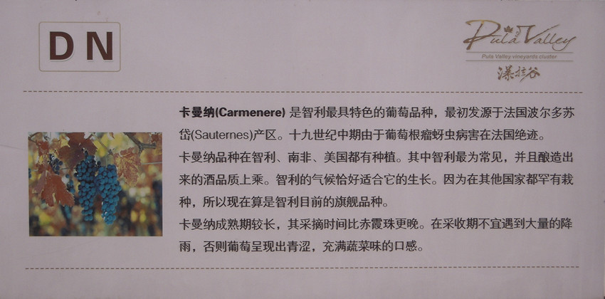 瀑拉谷葡萄 2.jpg