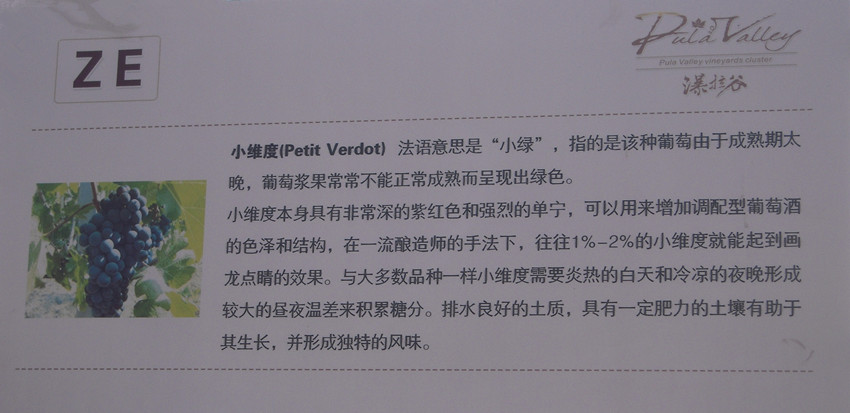 瀑拉谷葡萄 8.jpg