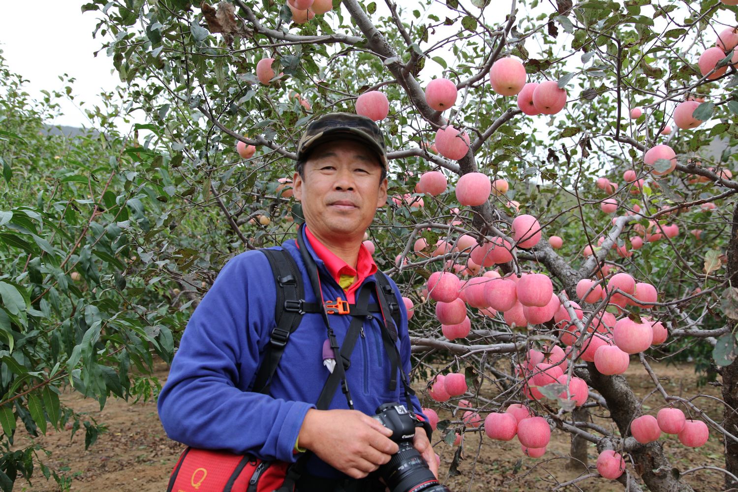 塔顶秋色 541.jpg