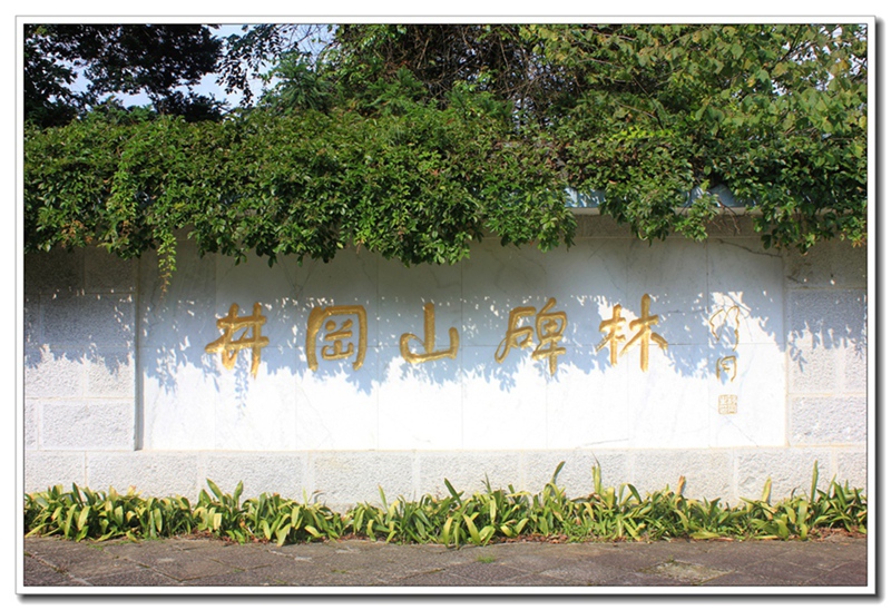 照片 248.jpg