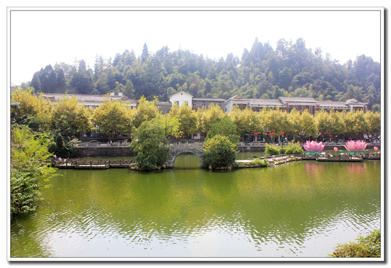照片 261.jpg
