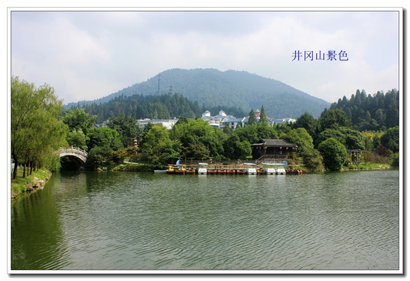 照片 253.jpg