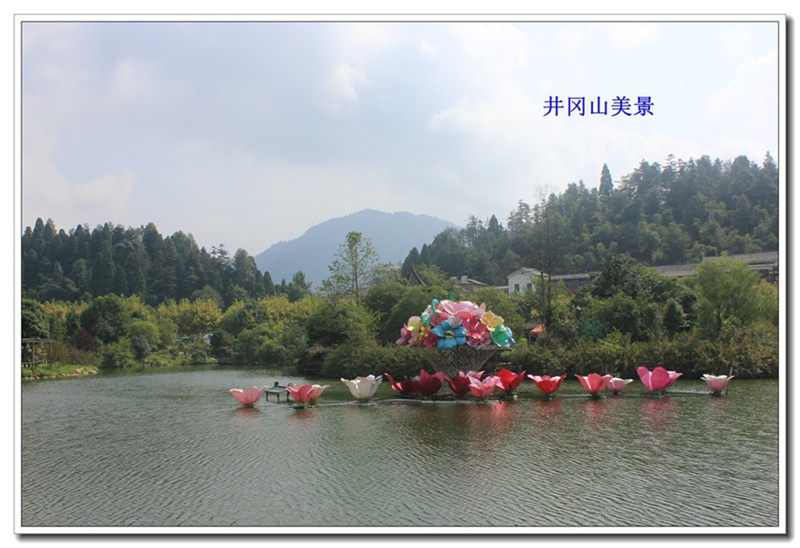 照片 254.jpg