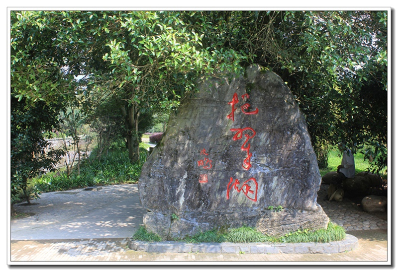 照片 255.jpg