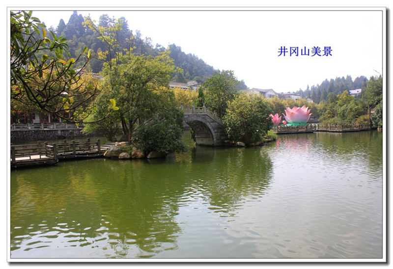 照片 265.jpg
