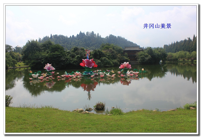 照片 284.jpg