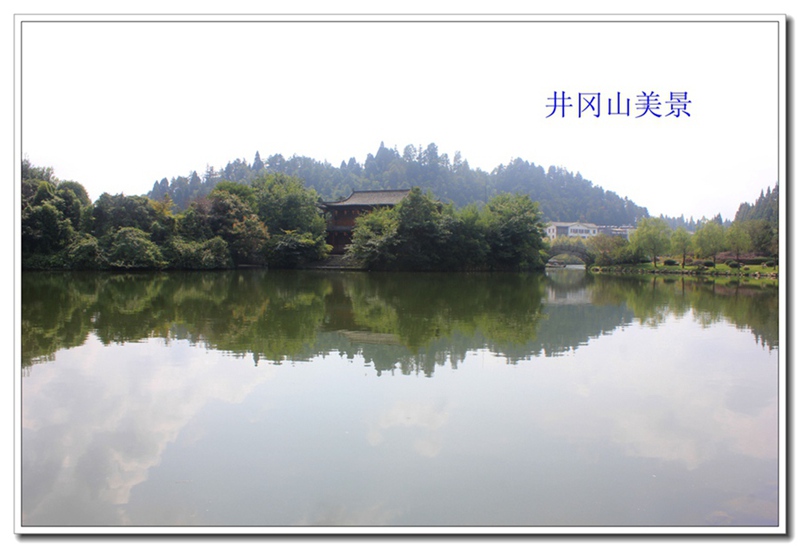 照片 286.jpg