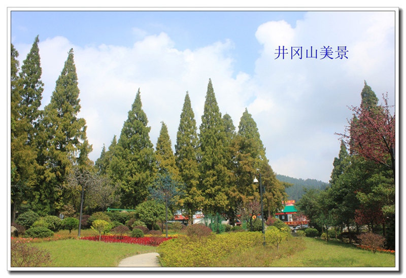 照片 290.jpg