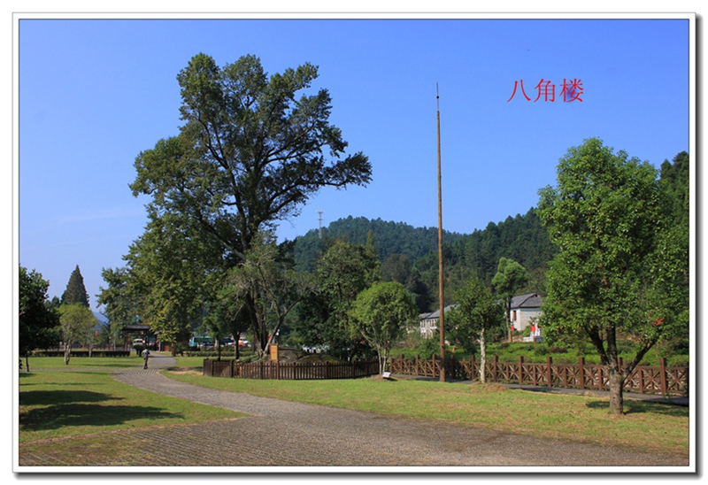 照片 330.jpg