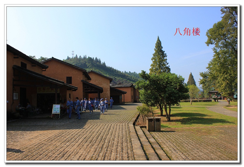 照片 331.jpg