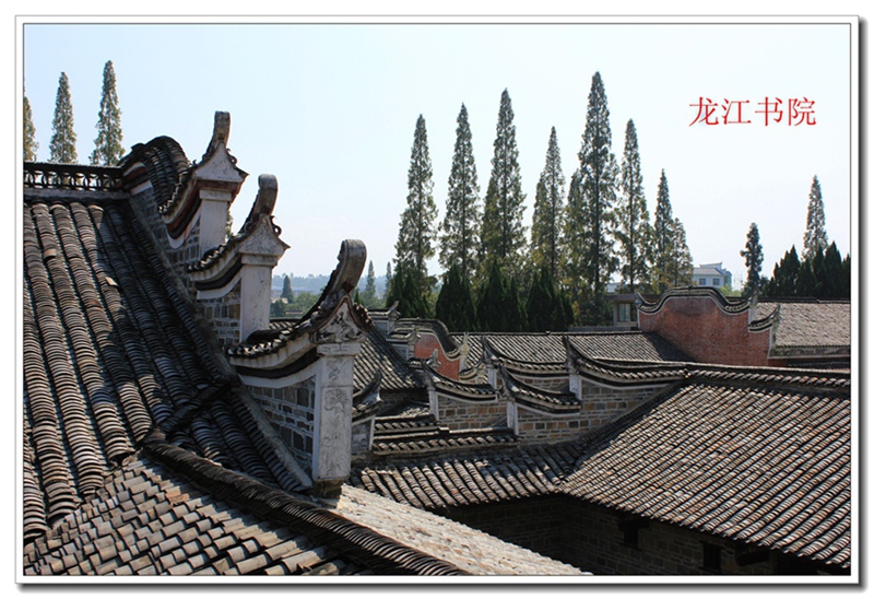 照片 381.jpg