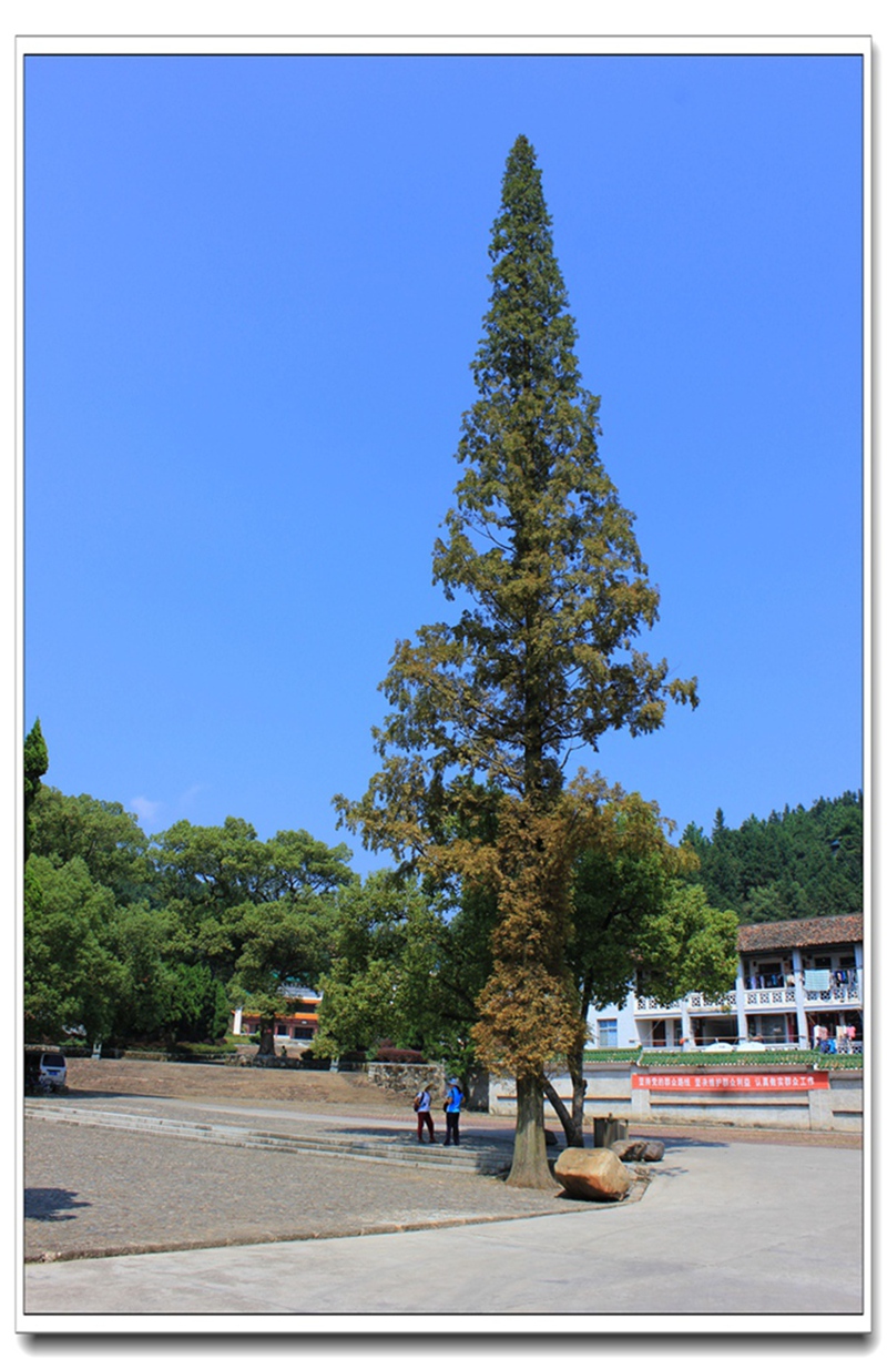 照片 391.jpg