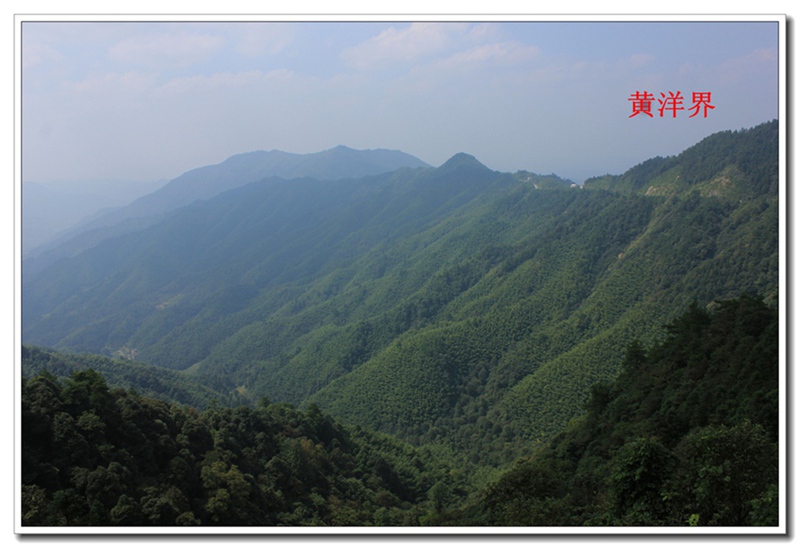 照片 420.jpg