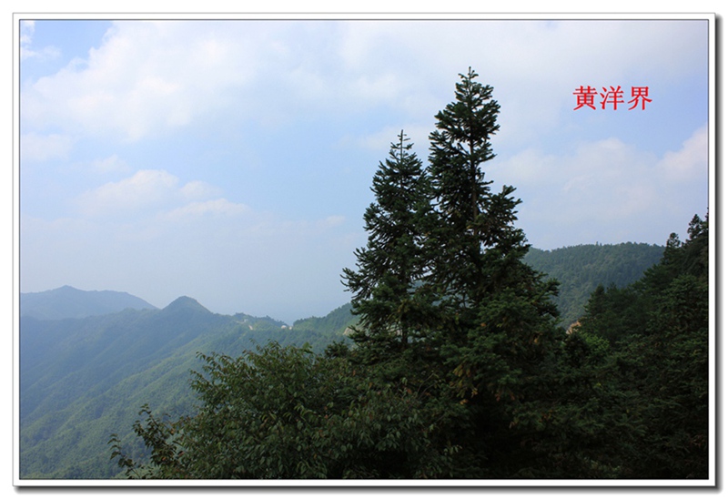 照片 419.jpg
