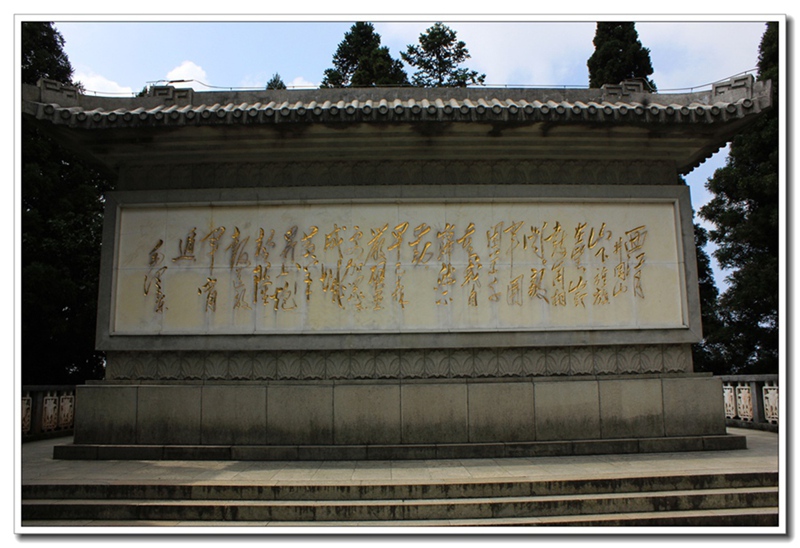 照片 425.jpg
