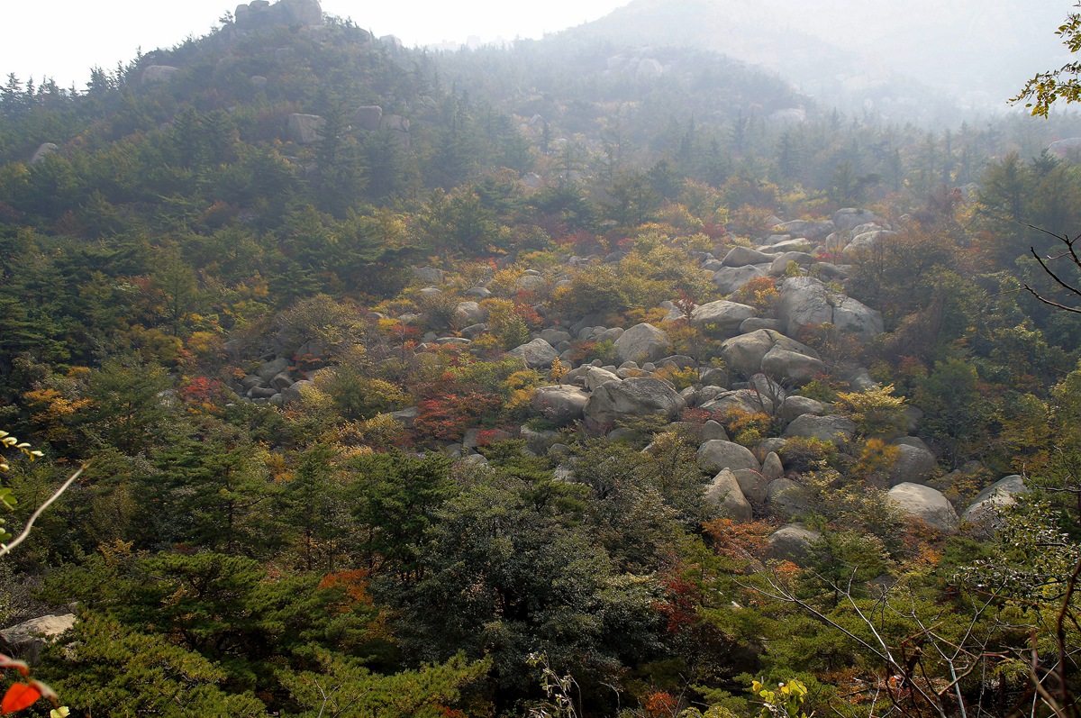 _DSC0984_副本.jpg