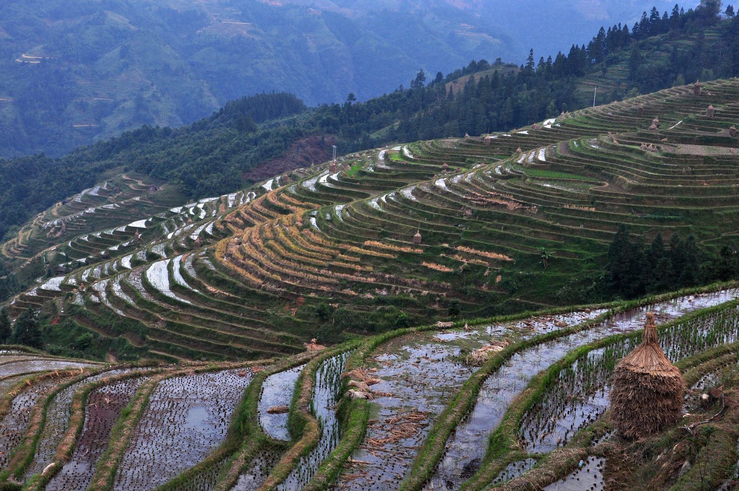 贵州加榜梯田.jpg