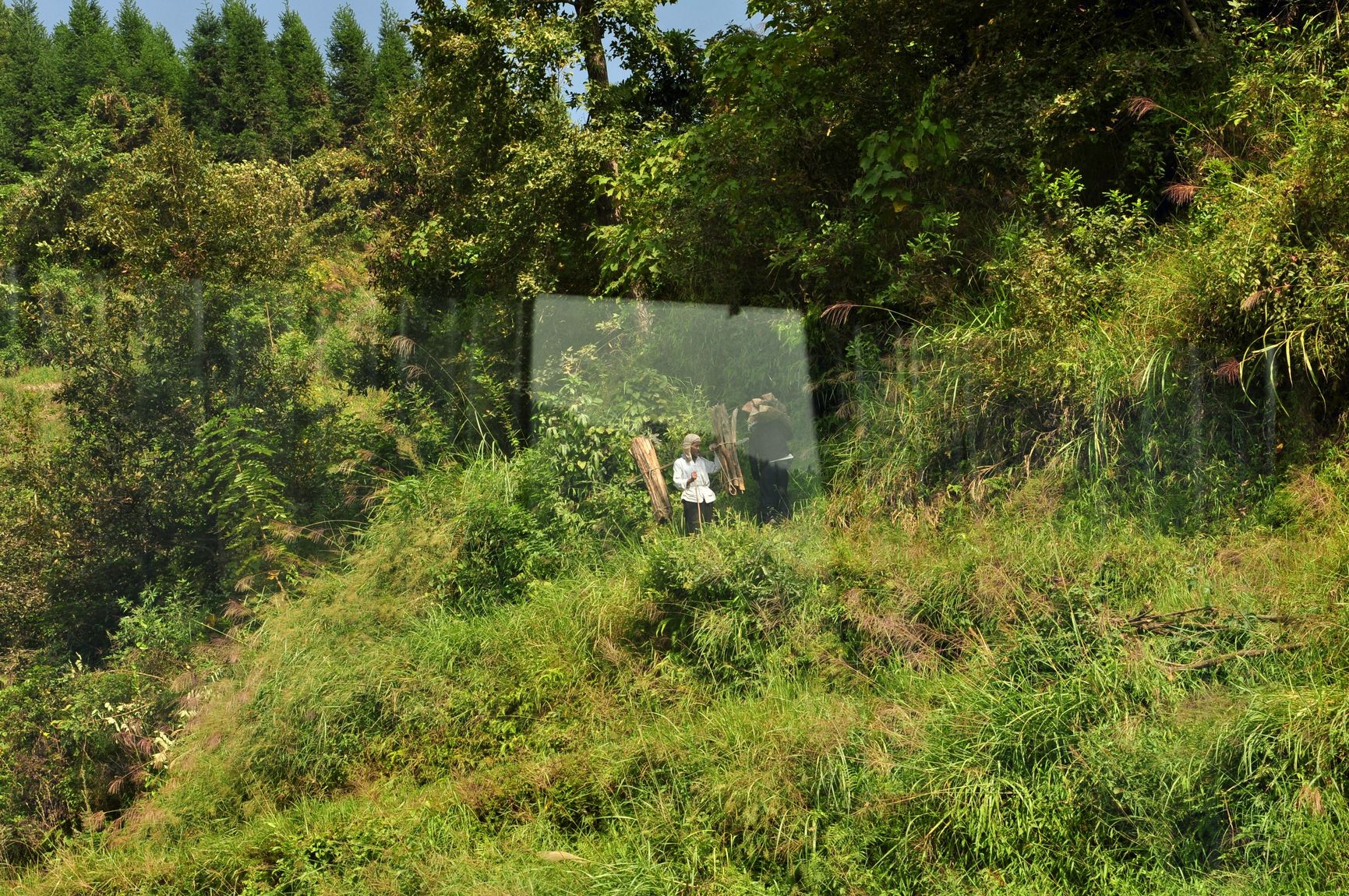 nEO_IMG_DSC_2164.jpg