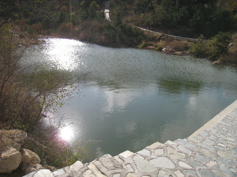 IMG_5359.JPG