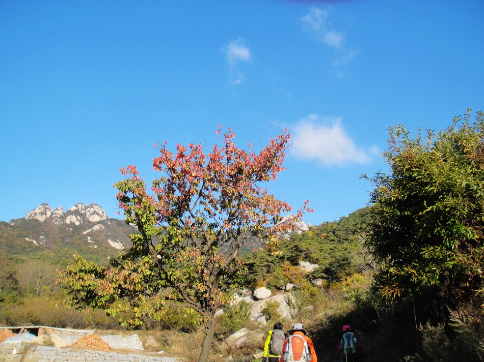 DSC05253.jpg
