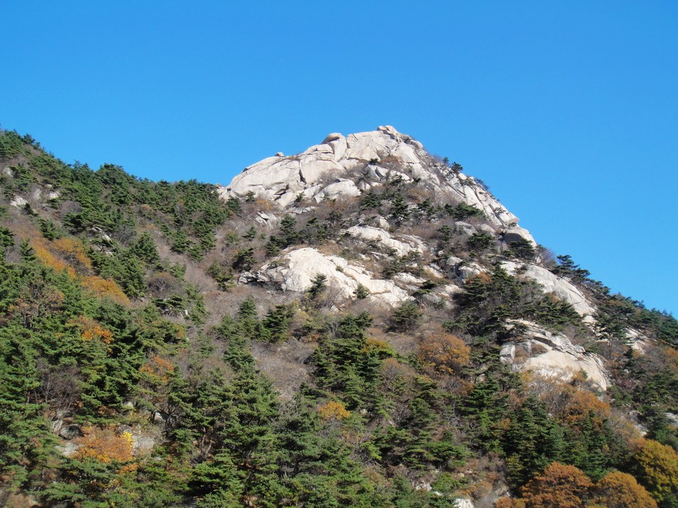 DSC05263.jpg