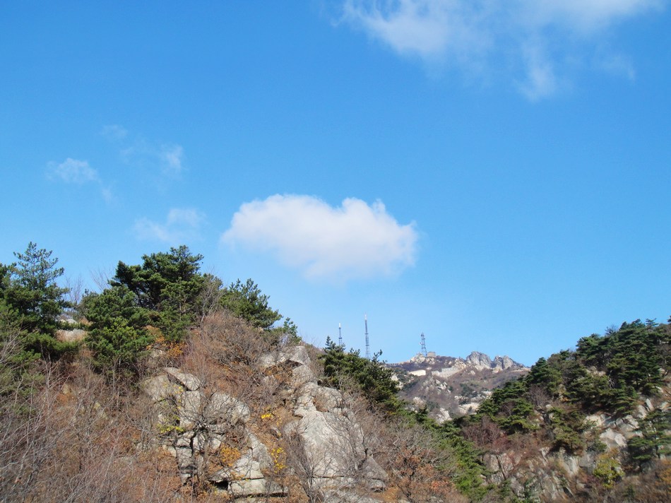 DSC05273.jpg