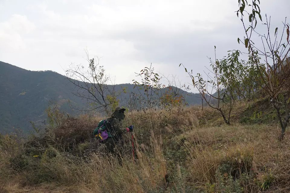 psbCADH9881.jpg