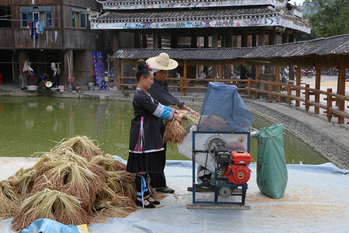 IMG_1071_副本.jpg