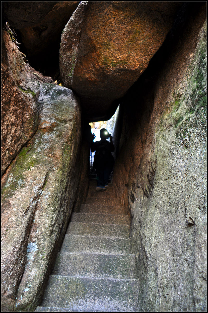 DSC_0540.jpg