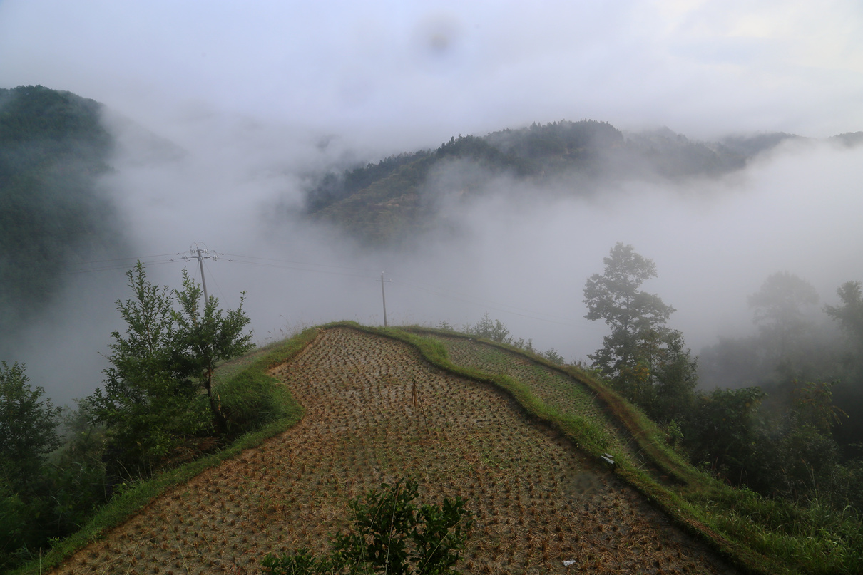 IMG_1274_副本.jpg