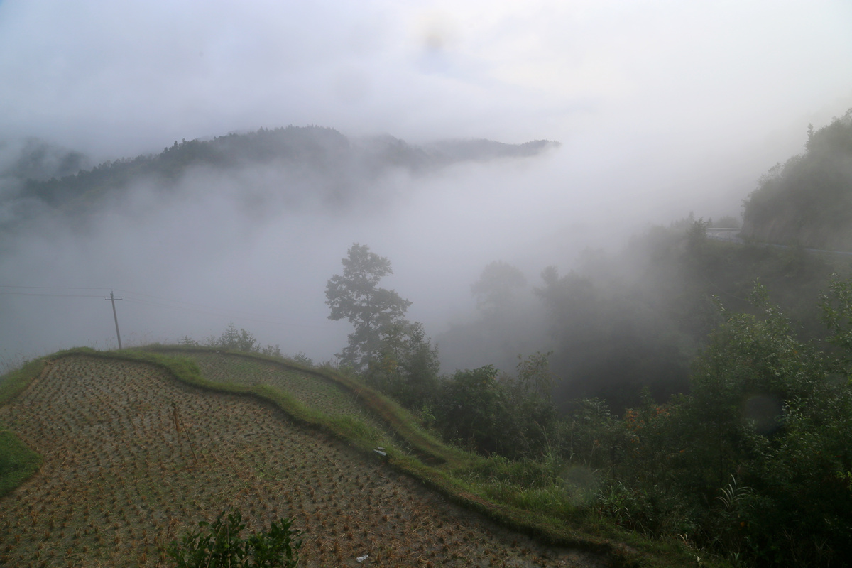 IMG_1277_副本.jpg