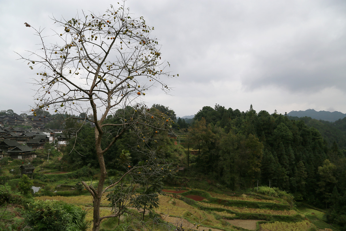 IMG_1479_副本.jpg