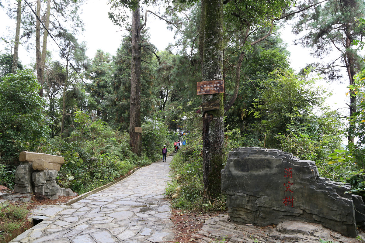 IMG_1492_副本.jpg