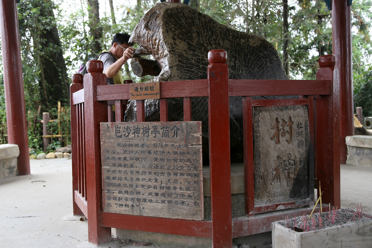 IMG_1497_副本.jpg