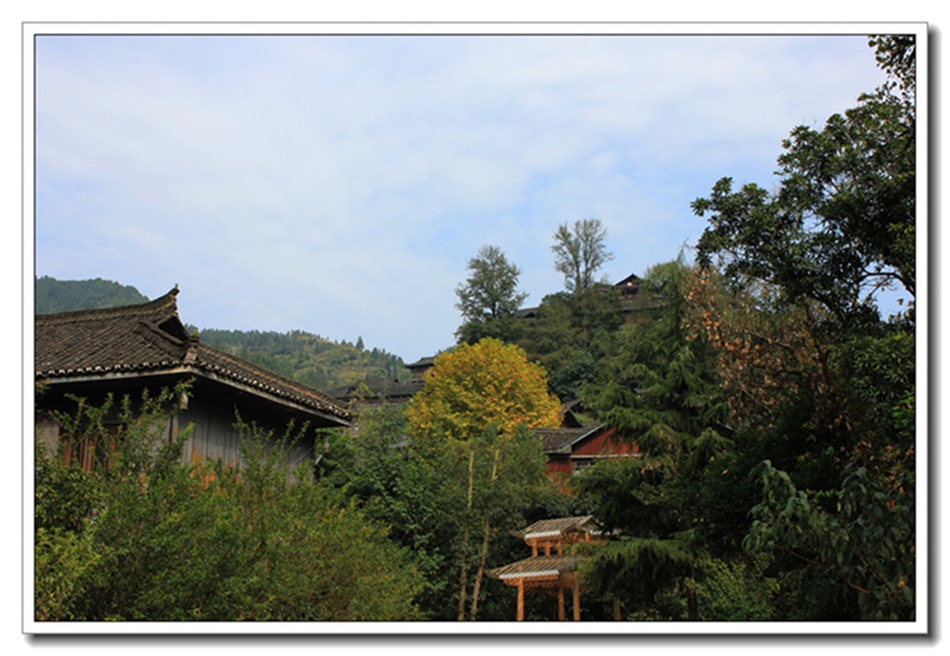 照片 1535.jpg