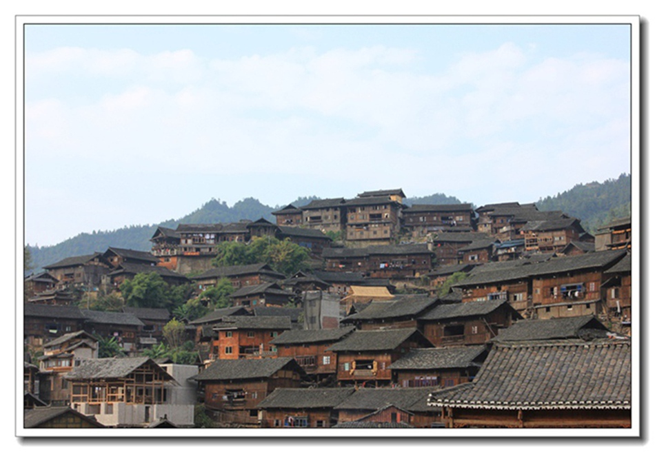 照片 1849.jpg
