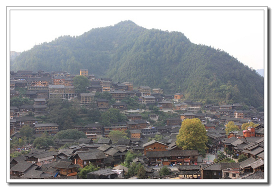 照片 1850.jpg
