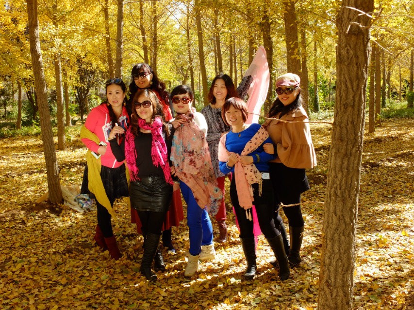 QQ图片20141105080523.jpg