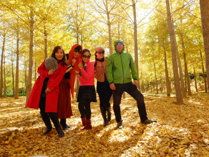 QQ图片20141105080704.jpg