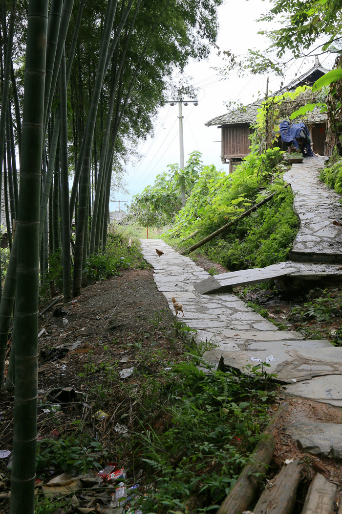 IMG_1592_副本.jpg