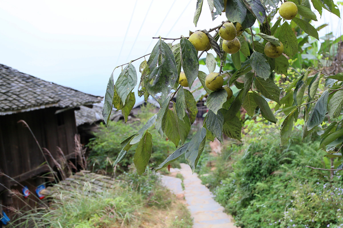 IMG_1602_副本.jpg