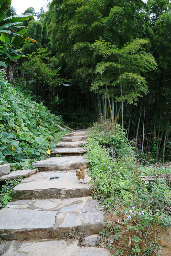 IMG_1608_副本.jpg