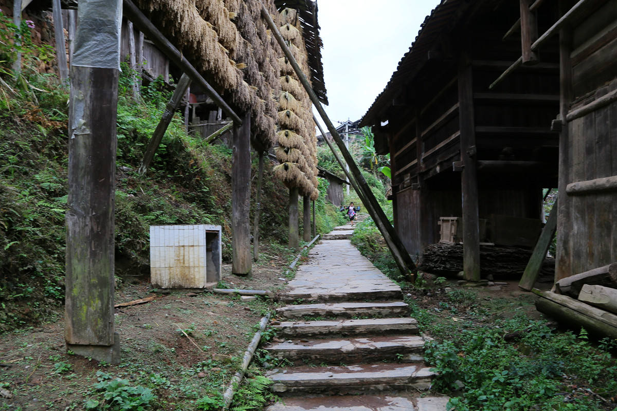 IMG_1631_副本.jpg