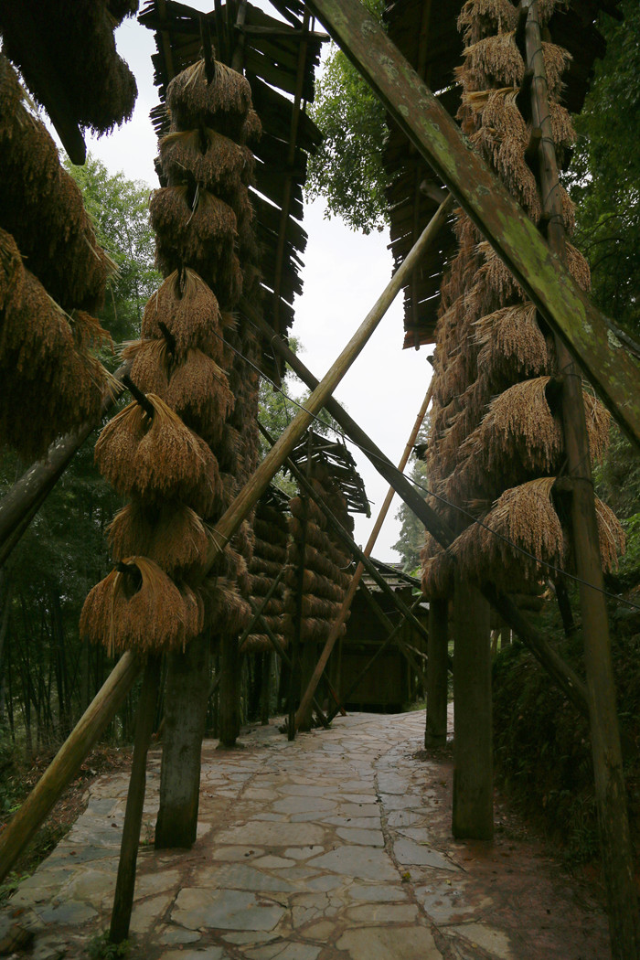 IMG_1671_副本.jpg