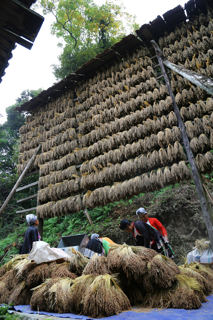 IMG_1681_副本.jpg